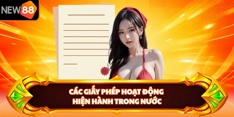 Các giấy phép hoạt động hiện hành trong nước