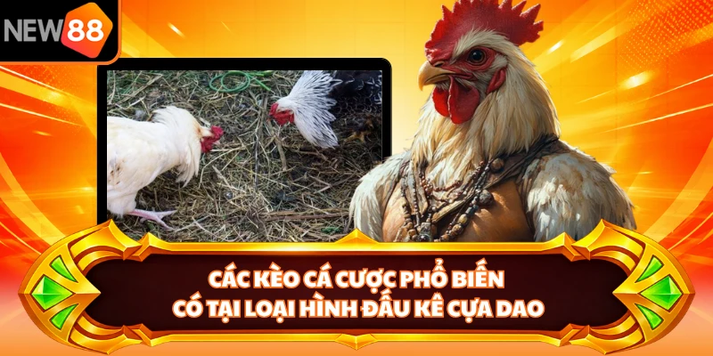 Các kèo cá cược phổ biến có tại loại hình đấu kê cựa dao