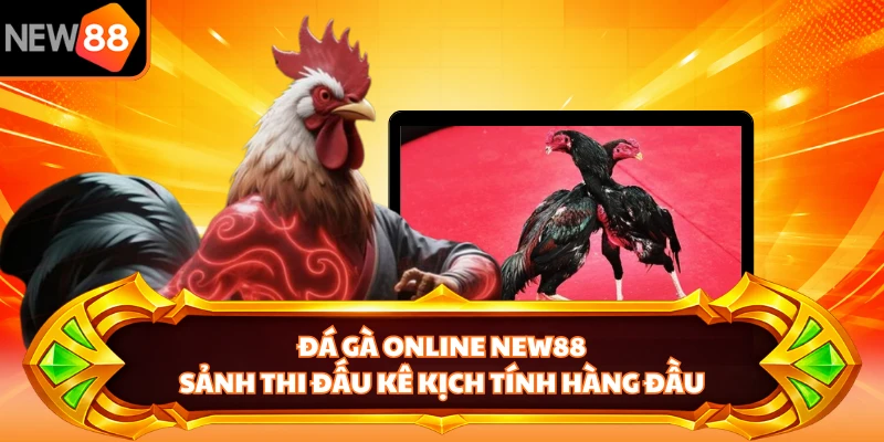 Đá Gà Online NEW88 - Sảnh Thi Đấu Kê Kịch Tính Hàng Đầu 