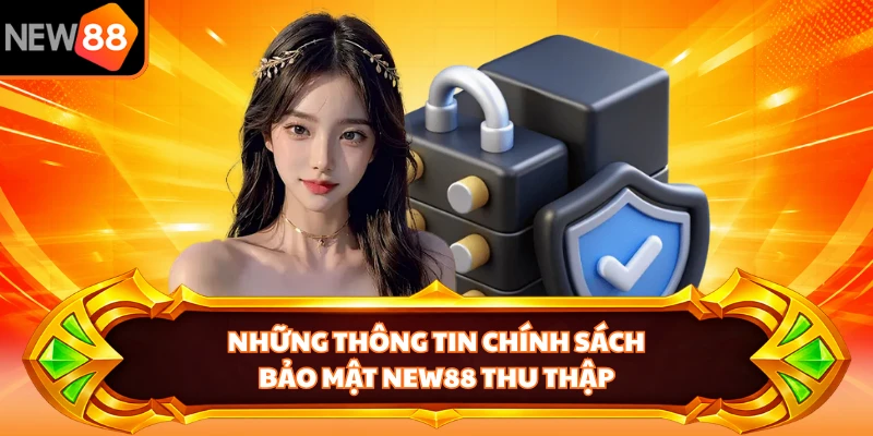 Những thông tin chính sách bảo mật NEW88 thu thập